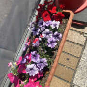 ヒメ日記 2026/05/14 14:00 投稿 みき 奥鉄オクテツ神奈川店（デリヘル市場グループ）