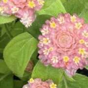 ヒメ日記 2026/06/04 12:20 投稿 みき 奥鉄オクテツ神奈川店（デリヘル市場グループ）