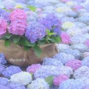 ヒメ日記 2026/06/18 14:20 投稿 みき 奥鉄オクテツ神奈川店（デリヘル市場グループ）