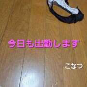 堀川小奈津 おはようございます 五十路マダム 博多店