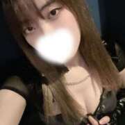 ヒメ日記 2026/06/14 17:09 投稿 もこ MINT（ミント）