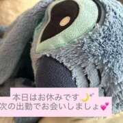 ヒメ日記 2026/08/09 08:01 投稿 もこ MINT（ミント）