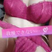 ヒメ日記 2026/08/16 11:53 投稿 そら 熟女総本店尼崎店