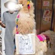 ヒメ日記 2026/06/12 14:32 投稿 すいれん 鶯谷デリヘル倶楽部