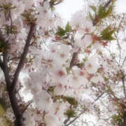 ヒメ日記 2026/10/14 15:06 投稿 東雲　めい ナディア（奈良）