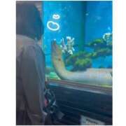 ヒメ日記 2026/07/08 19:00 投稿 ひなみ 虹色メロンパイ 横浜店