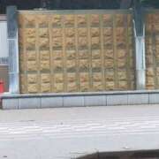ヒメ日記 2026/06/22 11:50 投稿 滝沢りょうか 熟女パラダイス鶯谷店(カサブランカグループ)