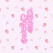 ヒメ日記 2026/05/05 07:37 投稿 すみれ 川崎・東横人妻城