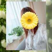 ヒメ日記 2026/06/24 09:39 投稿 すみれ 川崎・東横人妻城