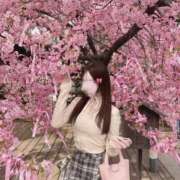 ヒメ日記 2026/05/17 12:04 投稿 なつ★男性経験極少の純真美少女 Chloe五反田本店　S級素人清楚系デリヘル