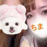 ヒメ日記 2026/07/27 18:04 投稿 ちま 船橋ぽちゃドル学園