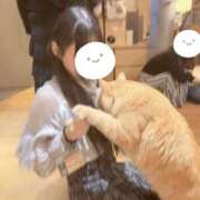 ヒメ日記 2026/05/29 16:04 投稿 羽宮ここね HYPER TOKYO