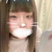 ヒメ日記 2026/05/02 19:58 投稿 イダテンギンポ 女の子市場