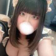 イダテンギンポ みんな何してるの?? 女の子市場
