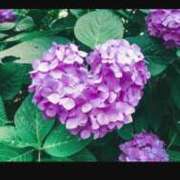 ヒメ日記 2026/06/01 21:09 投稿 平内 鶯谷デッドボール