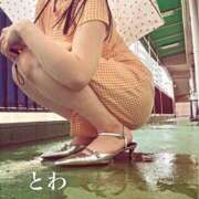ヒメ日記 2026/09/08 11:36 投稿 若林 とわ 大奥 難波店