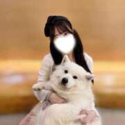 ヒメ日記 2026/06/08 23:27 投稿 うな The White