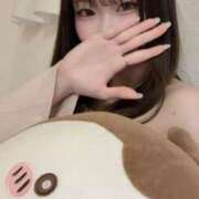 ヒメ日記 2026/05/06 02:27 投稿 きさき プロフィール 大阪店