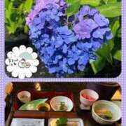 ヒメ日記 2026/06/10 07:31 投稿 峰岸まひろ TOKYO五十路マダムin池袋（カサブランカグループ）