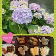 ヒメ日記 2026/06/12 08:15 投稿 峰岸まひろ TOKYO五十路マダムin池袋（カサブランカグループ）