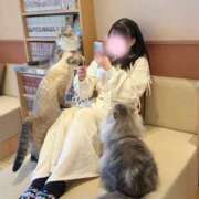 ヒメ日記 2026/08/15 10:22 投稿 ここあ　学園の一輪の花♡ AROMA FACE NAKASU