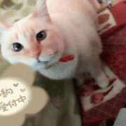 ヒメ日記 2026/05/05 15:00 投稿 はるひ ぽっちゃり巨乳素人専門店ぷにめろ八王子店