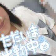 ヒメ日記 2026/05/16 14:29 投稿 はるひ ぽっちゃり巨乳素人専門店ぷにめろ八王子店