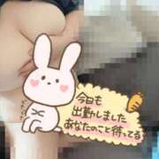 はるひ (ﾉ)*´꒳`*(ヾ)ﾑﾆﾑﾆ ぽっちゃり巨乳素人専門店ぷにめろ八王子店