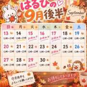 ヒメ日記 2026/09/14 14:30 投稿 はるひ ぽっちゃり巨乳素人専門店ぷにめろ八王子店