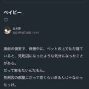ヒメ日記 2026/06/09 16:46 投稿 凜々蝶(りりちよ) クラブM-1