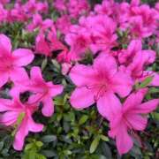 ヒメ日記 2026/05/12 22:08 投稿 ミチル Club 帝