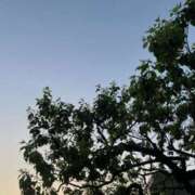 ヒメ日記 2026/05/15 23:54 投稿 ミチル Club 帝