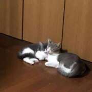 ヒメ日記 2026/06/20 11:13 投稿 ゆな コーチと私と、ビート板･･･