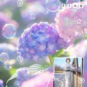 ヒメ日記 2026/05/27 08:40 投稿 森沢泉美(もりさわいずみ) 五十路マダムエクスプレス厚木店(カサブランカグループ)