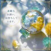 ヒメ日記 2026/06/26 20:34 投稿 森沢泉美(もりさわいずみ) 五十路マダムエクスプレス厚木店(カサブランカグループ)