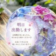 森沢泉美(もりさわいずみ) 明日出勤します 五十路マダムエクスプレス厚木店(カサブランカグループ)