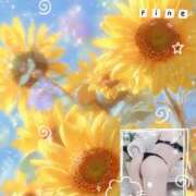 ヒメ日記 2026/07/04 22:18 投稿 森沢泉美(もりさわいずみ) 五十路マダムエクスプレス厚木店(カサブランカグループ)