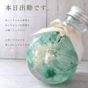 ヒメ日記 2026/08/04 08:38 投稿 森沢泉美(もりさわいずみ) 五十路マダムエクスプレス厚木店(カサブランカグループ)