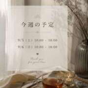 ヒメ日記 2026/09/03 10:06 投稿 森沢泉美(もりさわいずみ) 五十路マダムエクスプレス厚木店(カサブランカグループ)