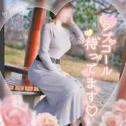 ヒメ日記 2026/10/14 09:04 投稿 森沢泉美(もりさわいずみ) 五十路マダムエクスプレス厚木店(カサブランカグループ)