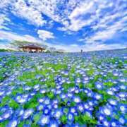 ヒメ日記 2026/05/12 13:36 投稿 そあら 熟女家 京橋店