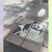 ヒメ日記 2026/08/15 04:11 投稿 東条（とうじょう） 丸妻 錦糸町店