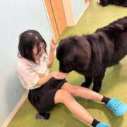 ヒメ日記 2026/06/15 07:31 投稿 ふうか アラモード