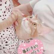 ヒメ日記 2026/05/06 10:30 投稿 遠藤かれん 月の真珠-新宿-