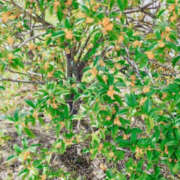 ヒメ日記 2026/10/06 15:16 投稿 ゆきな 奥様 仙台人妻セレブリティー
