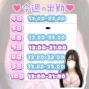 ヒメ日記 2026/05/04 00:58 投稿 しずく ぽっちゃり巨乳素人専門店ぷにめろ渋谷店