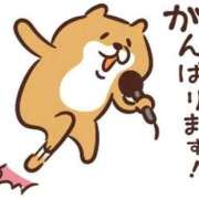 ヒメ日記 2026/05/24 10:01 投稿 なお 熟女の風俗最終章 沼津店