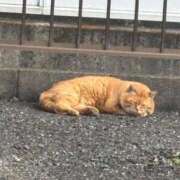 ヒメ日記 2026/05/07 17:54 投稿 ゆうき 出会い系人妻ネットワーク 春日部〜岩槻編