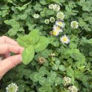 ヒメ日記 2026/05/08 09:22 投稿 ななせ ローズ～ミドルエイジ～