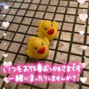 ヒメ日記 2026/05/20 22:19 投稿 ゆうな 福島駅前ちゃんこ